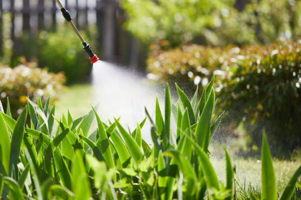 24/7 Emergency Mosquito Control experts in Green Island, NY